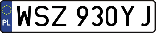 WSZ930YJ