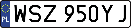 WSZ950YJ
