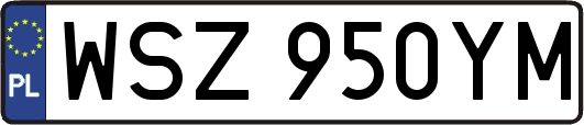 WSZ950YM