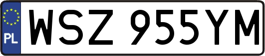 WSZ955YM
