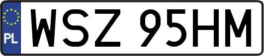 WSZ95HM