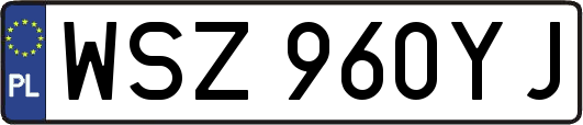 WSZ960YJ