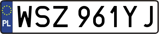 WSZ961YJ