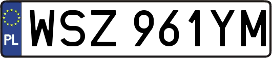 WSZ961YM