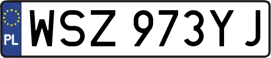 WSZ973YJ