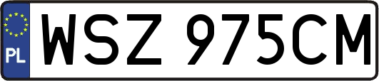 WSZ975CM