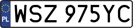 WSZ975YC