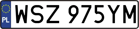 WSZ975YM