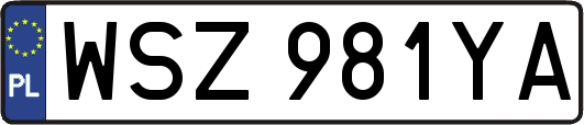 WSZ981YA