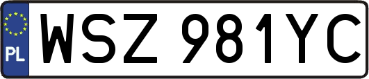WSZ981YC