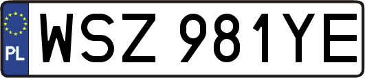 WSZ981YE
