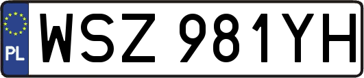 WSZ981YH