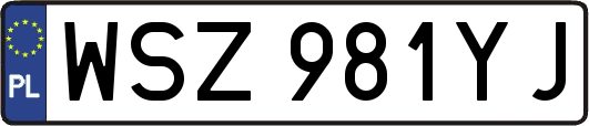 WSZ981YJ