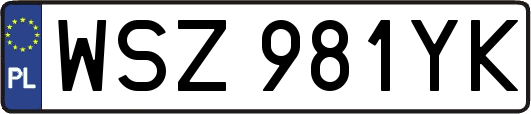 WSZ981YK