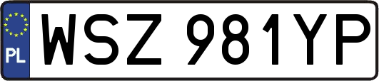 WSZ981YP