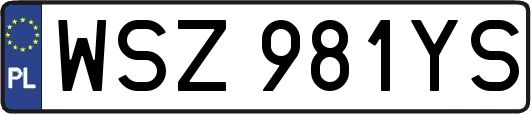 WSZ981YS