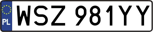 WSZ981YY