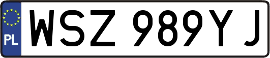WSZ989YJ