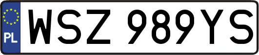 WSZ989YS