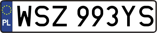 WSZ993YS