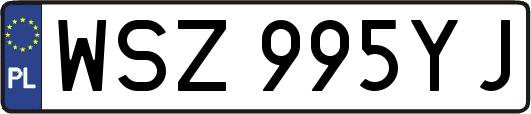 WSZ995YJ
