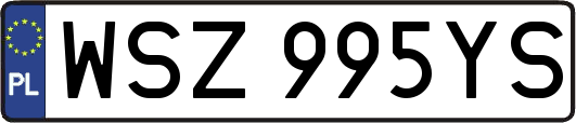 WSZ995YS