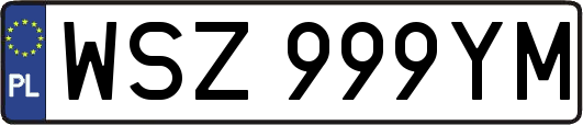 WSZ999YM