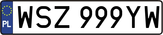 WSZ999YW