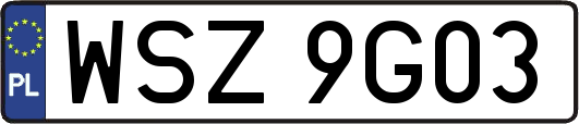 WSZ9G03