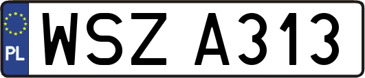WSZA313