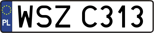 WSZC313