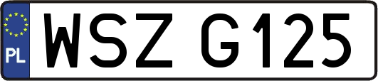 WSZG125