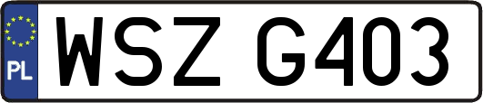 WSZG403