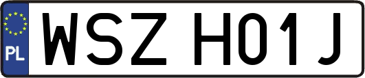 WSZH01J