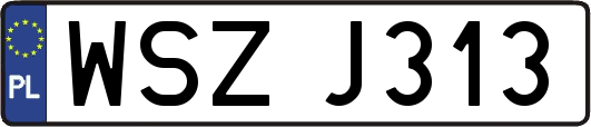 WSZJ313