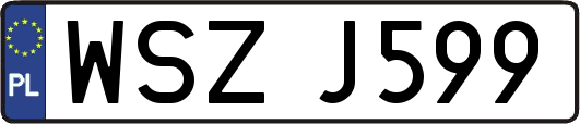 WSZJ599