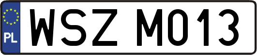 WSZM013