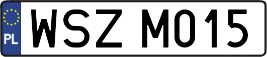 WSZM015