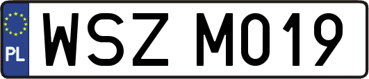 WSZM019