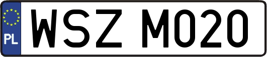 WSZM020