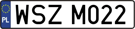 WSZM022