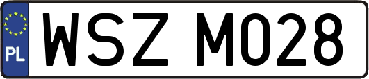 WSZM028