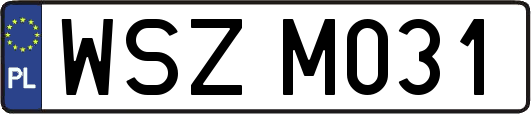WSZM031