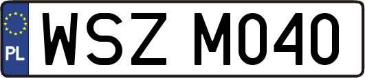 WSZM040