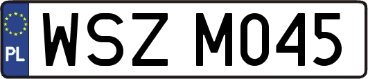 WSZM045