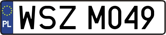 WSZM049