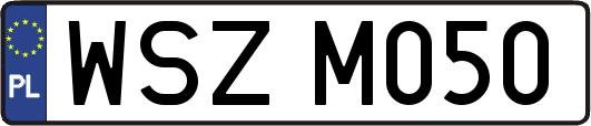 WSZM050