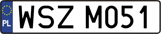 WSZM051