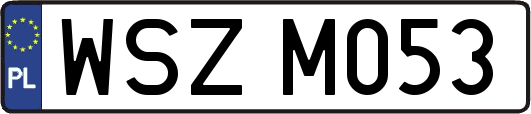 WSZM053