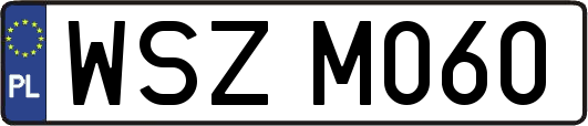 WSZM060